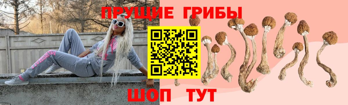 Псилоцибиновые грибы мицелий Белгород