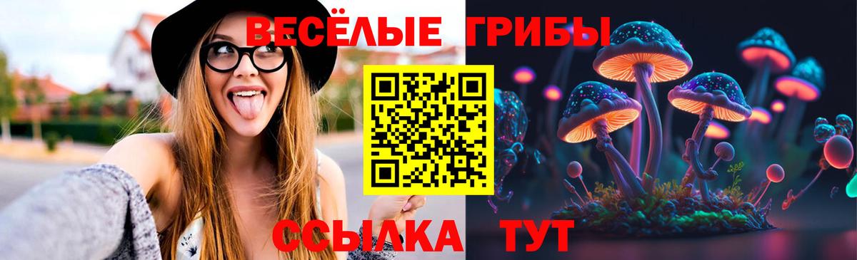 что такое   Галлюциногенные грибы мухоморы  Вход с VPN  Белгород 